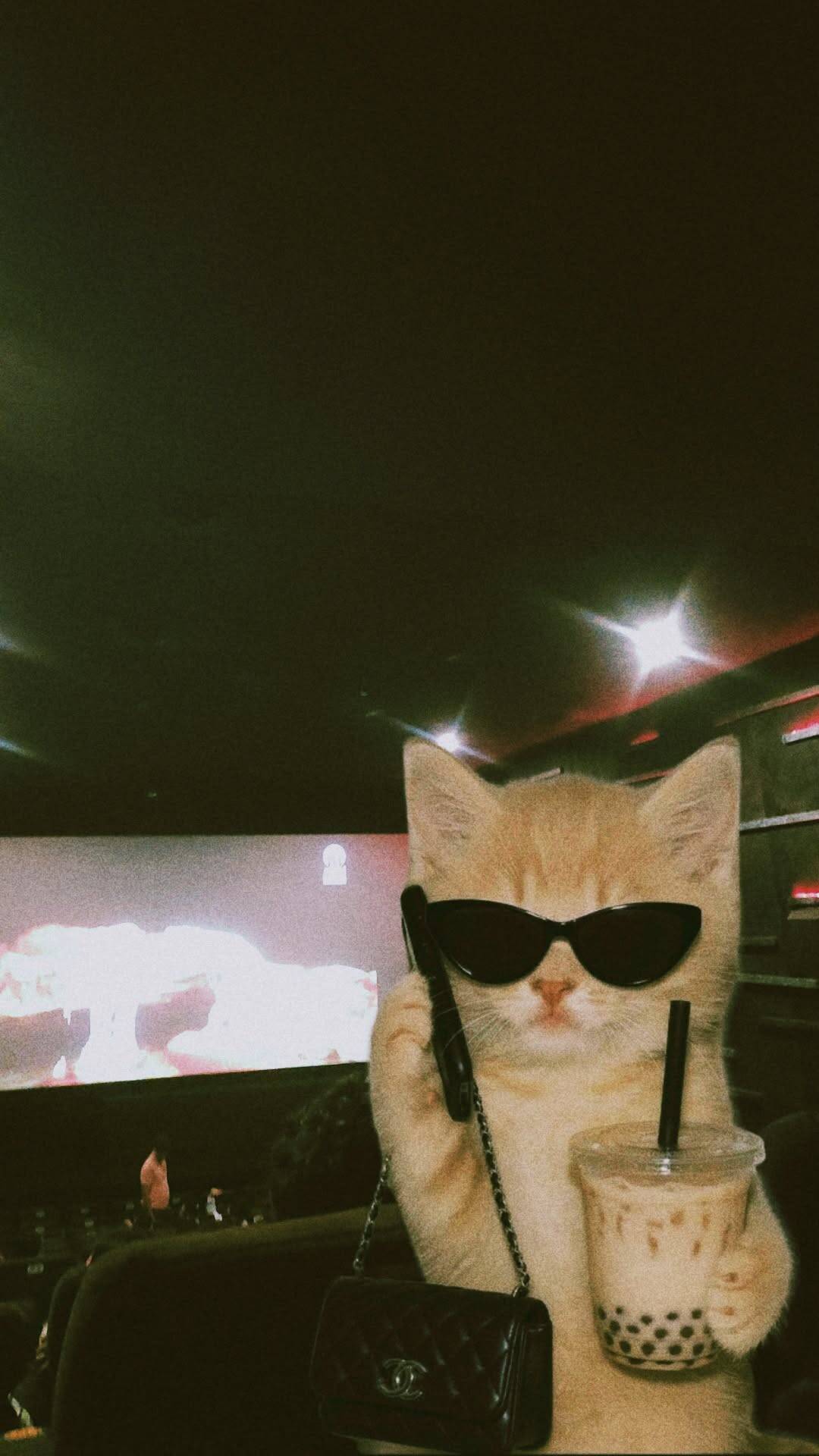 Papel de Parede de Gato Estiloso com Óculos e Bubble Tea para Celular/iPhone 4K