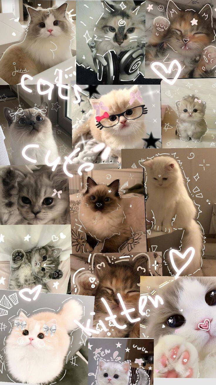 Papel de Parede de Gatinhos Fofos com Desenhos para Celular/iPhone 4K