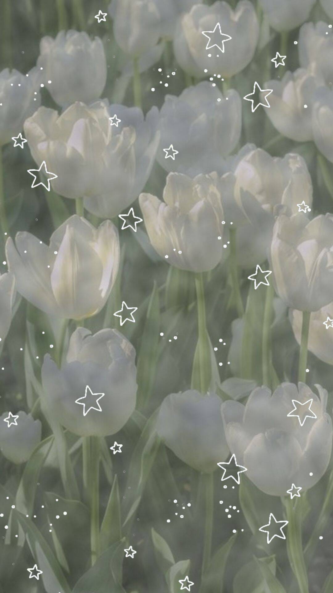 Fondo de Pantalla Blanco con Flores Blancas y Estrellas para Celular/iPhone 4K
