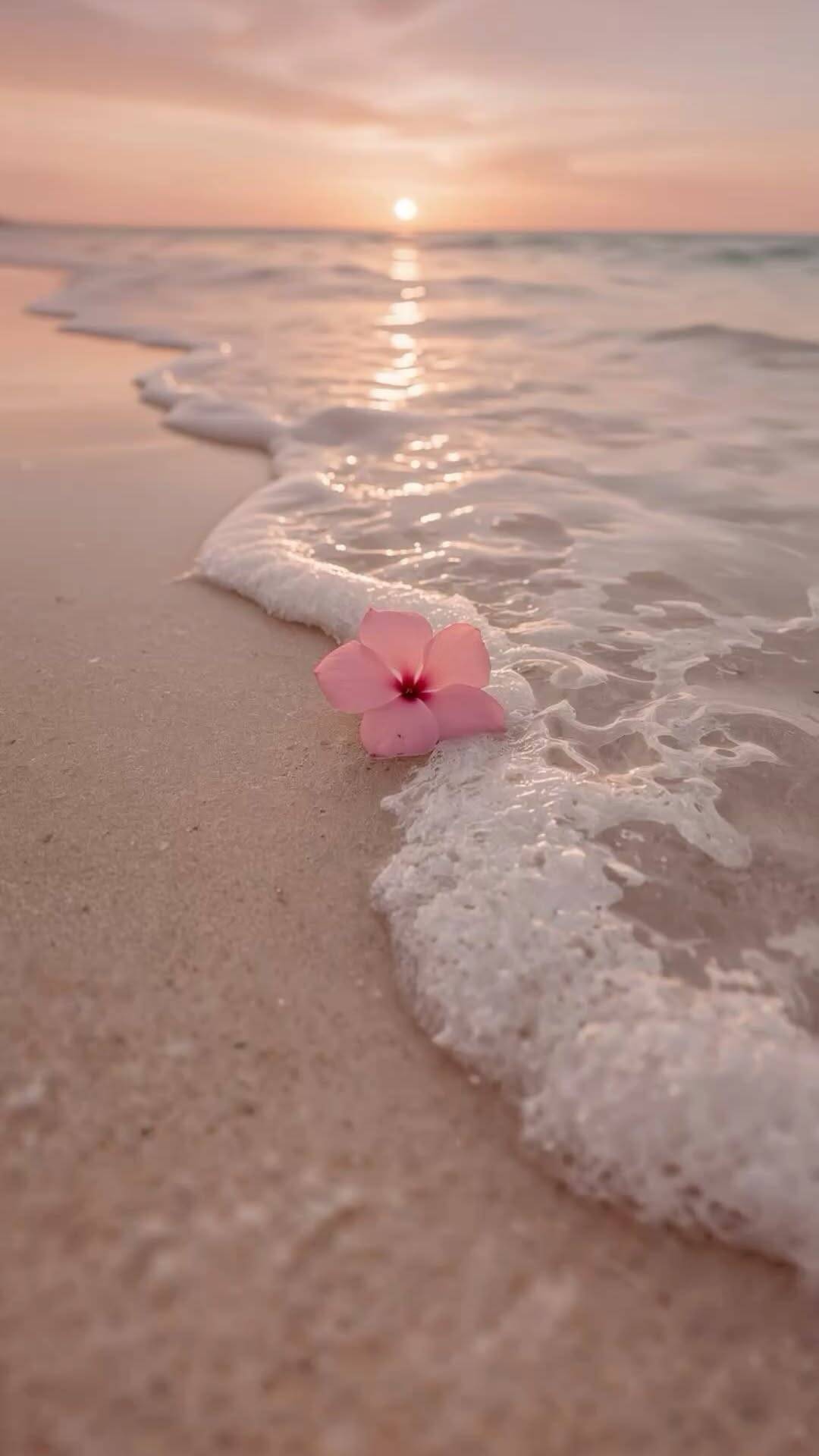 Fondo de Pantalla de Flores de Playa de Verano para Móvil/iPhone 4K
