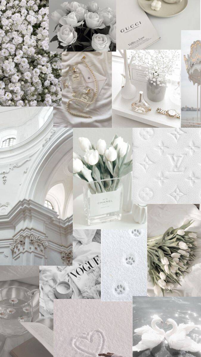 Papel de Parede Branco Aesthetic para Celular/iPhone 4K
