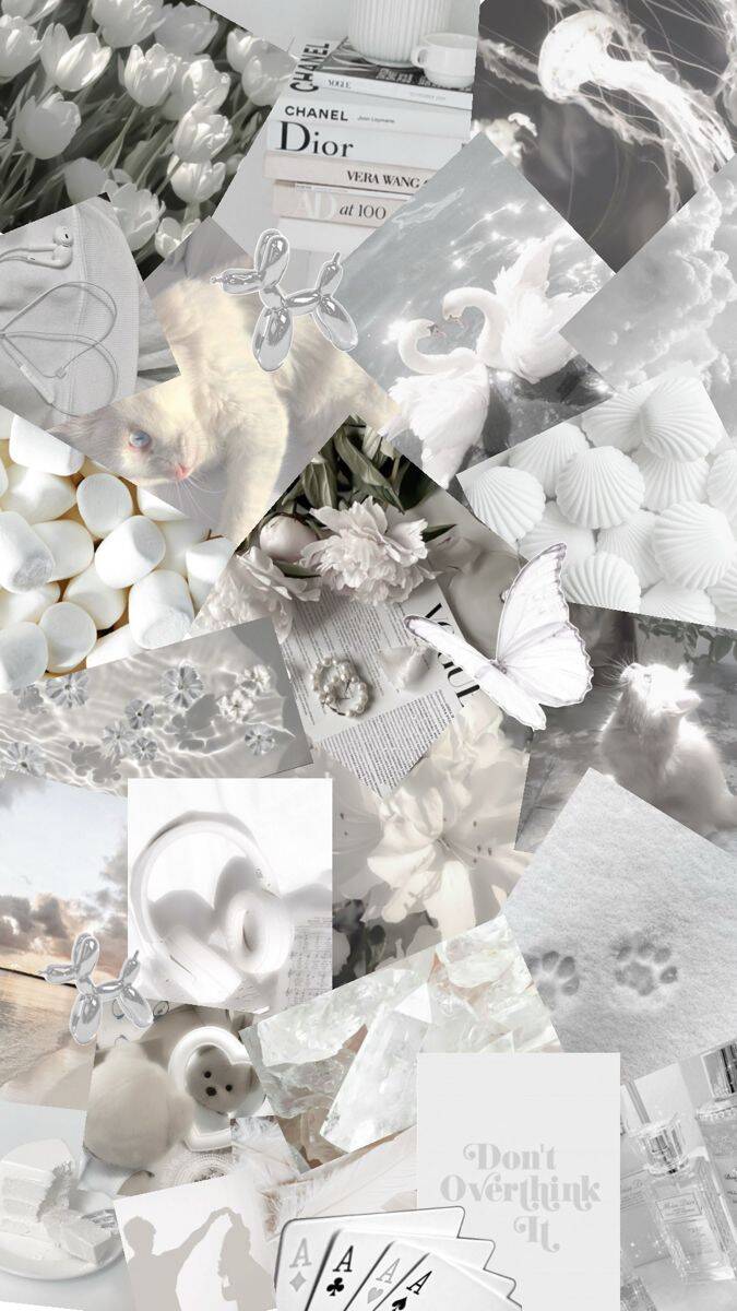 Stylish White Wallpaper for Cell Phone/iPhone 4K
