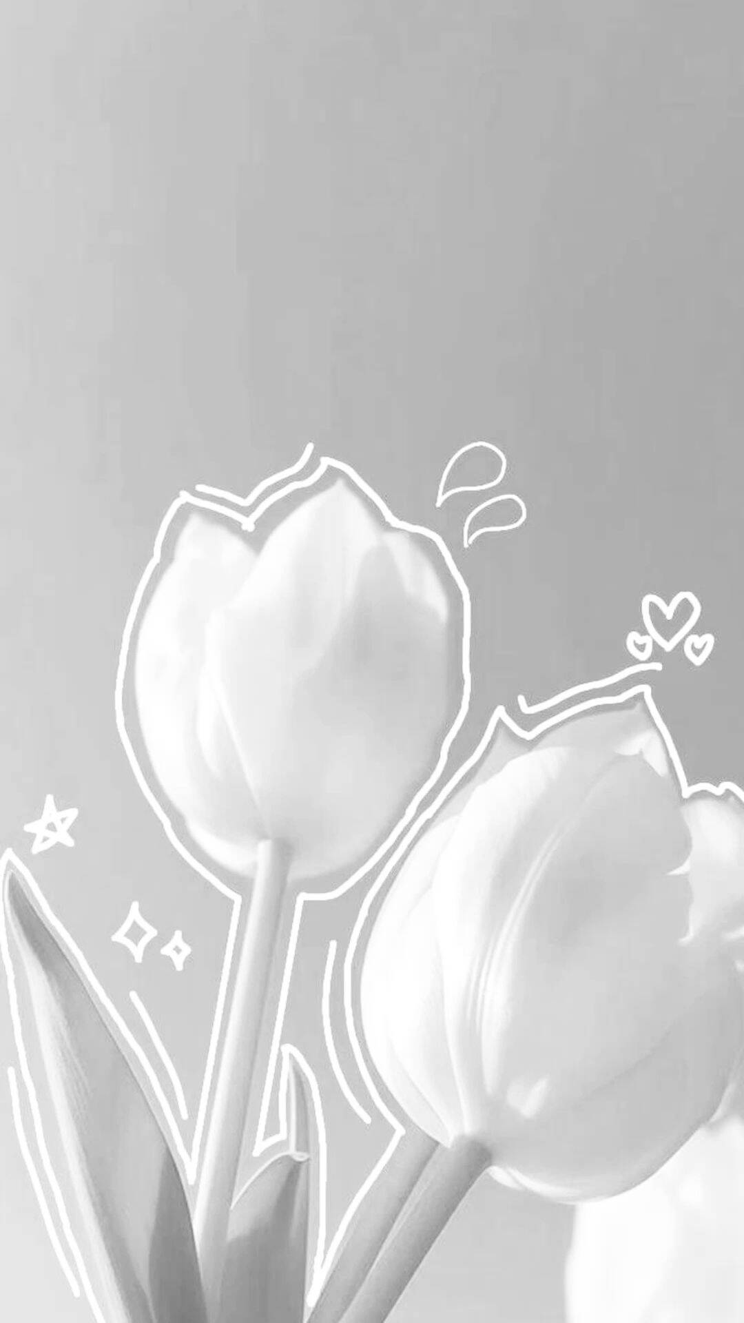 Papel de Parede Branco com Flores Brancas para Celular/iPhone 4K