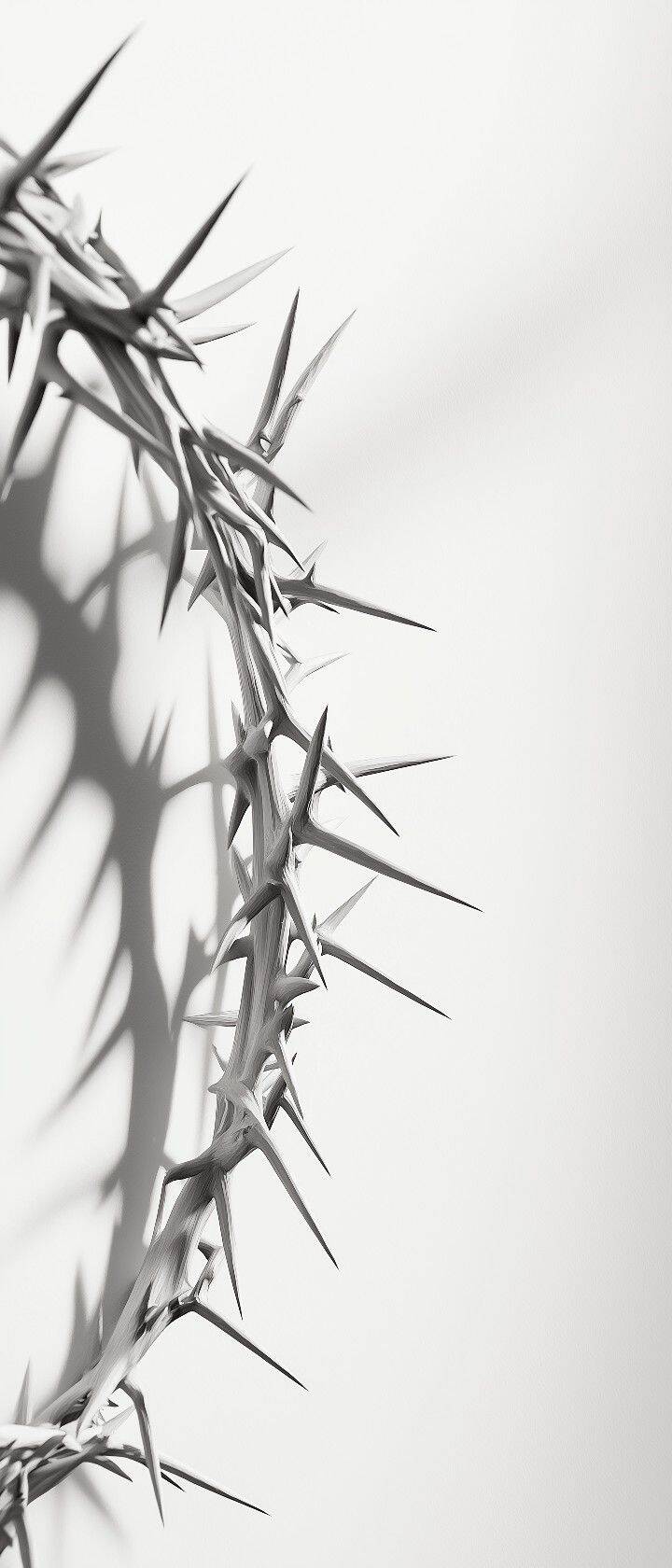 Papel de Parede Branco com Coroa de Espinhos para Celular/iPhone 4K