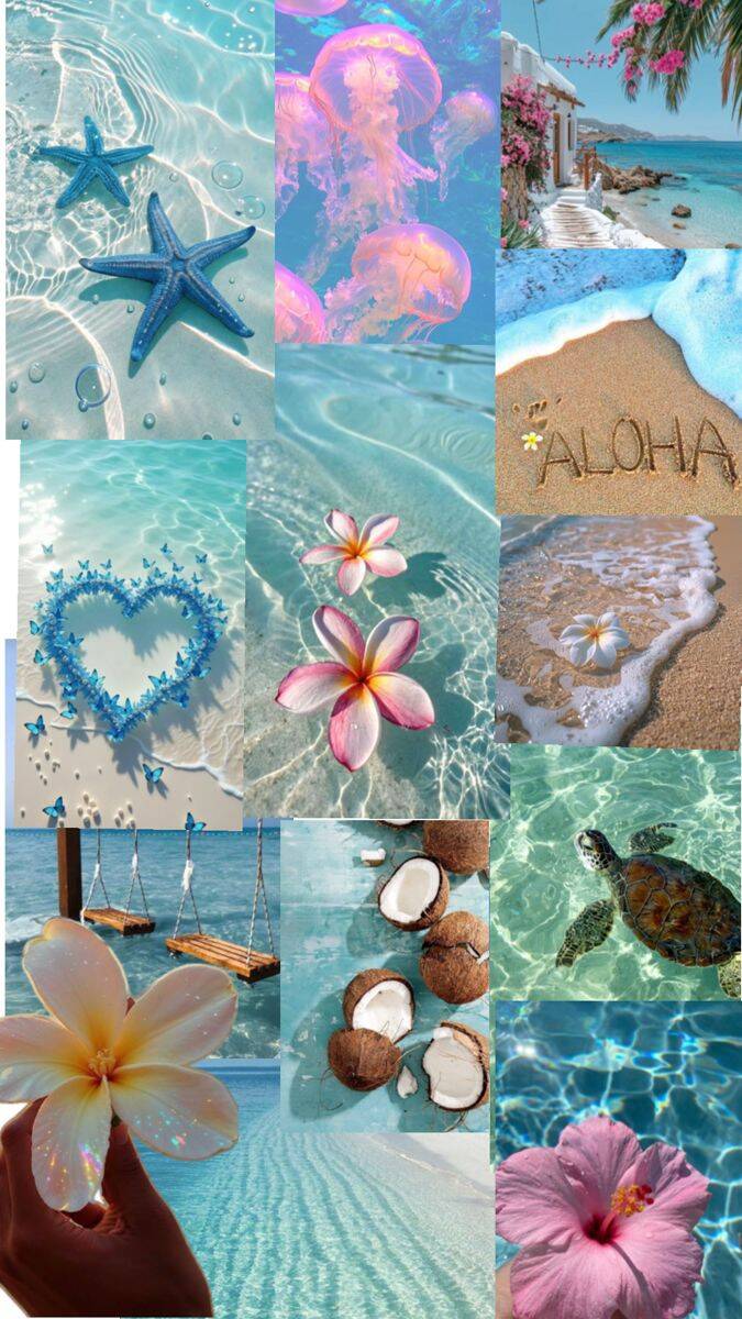 Papel de Parede de Verão com Estrelas do Mar e Flores para Celular/iPhone 4K