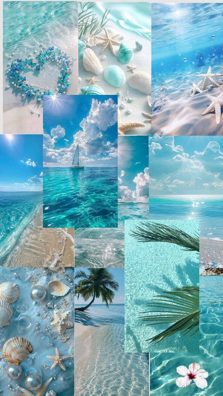 Papel de Parede de Verão com Conchas e Mar Azul para Celular/iPhone 4K