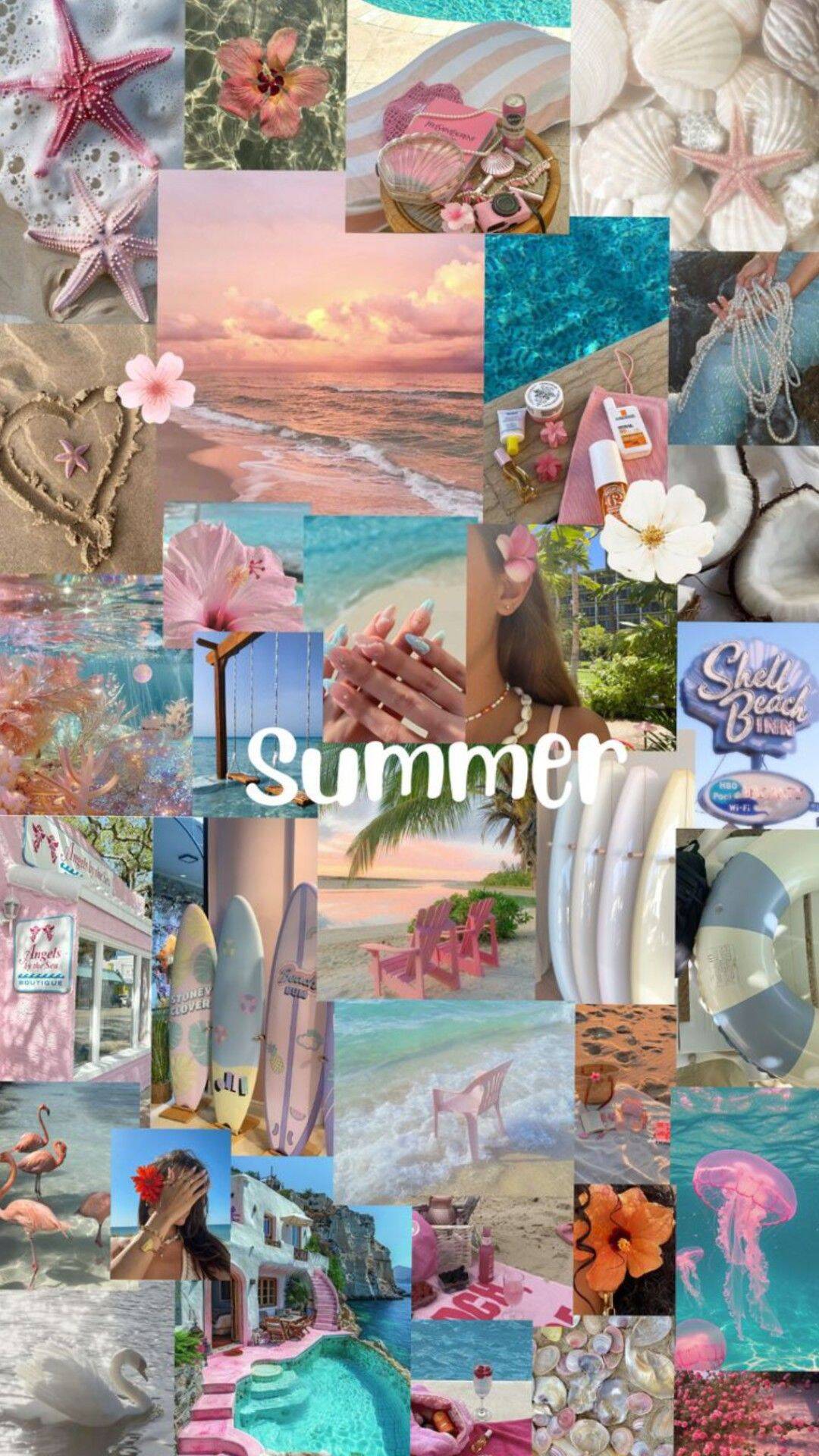Papel de Parede de Verão com Conchas e Flamingos para Celular/iPhone 4K