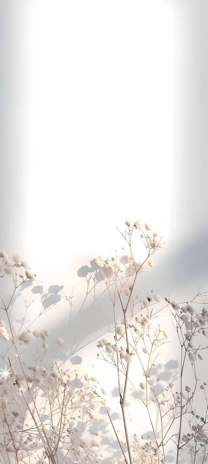 Papel de Parede Branco com Flores Secas para Celular/iPhone 4K