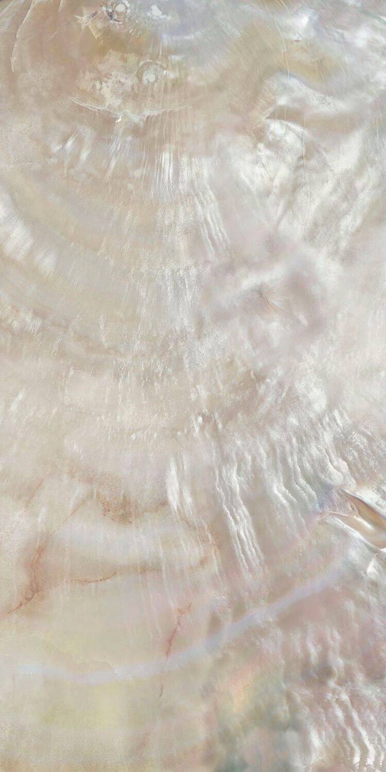 Papel de Parede Branco Texturizado para Celular/iPhone 4K