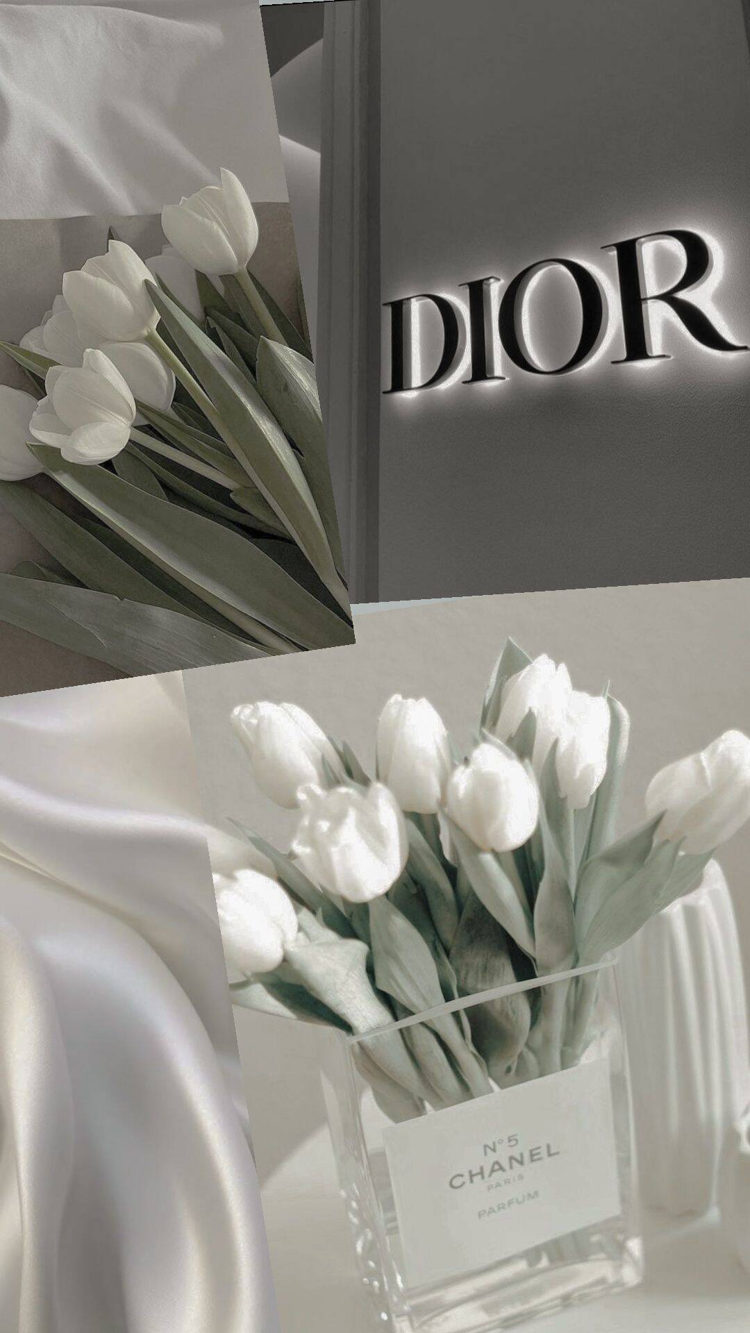 Papel de Parede Branco com Flores Brancas para Celular/iPhone 4K