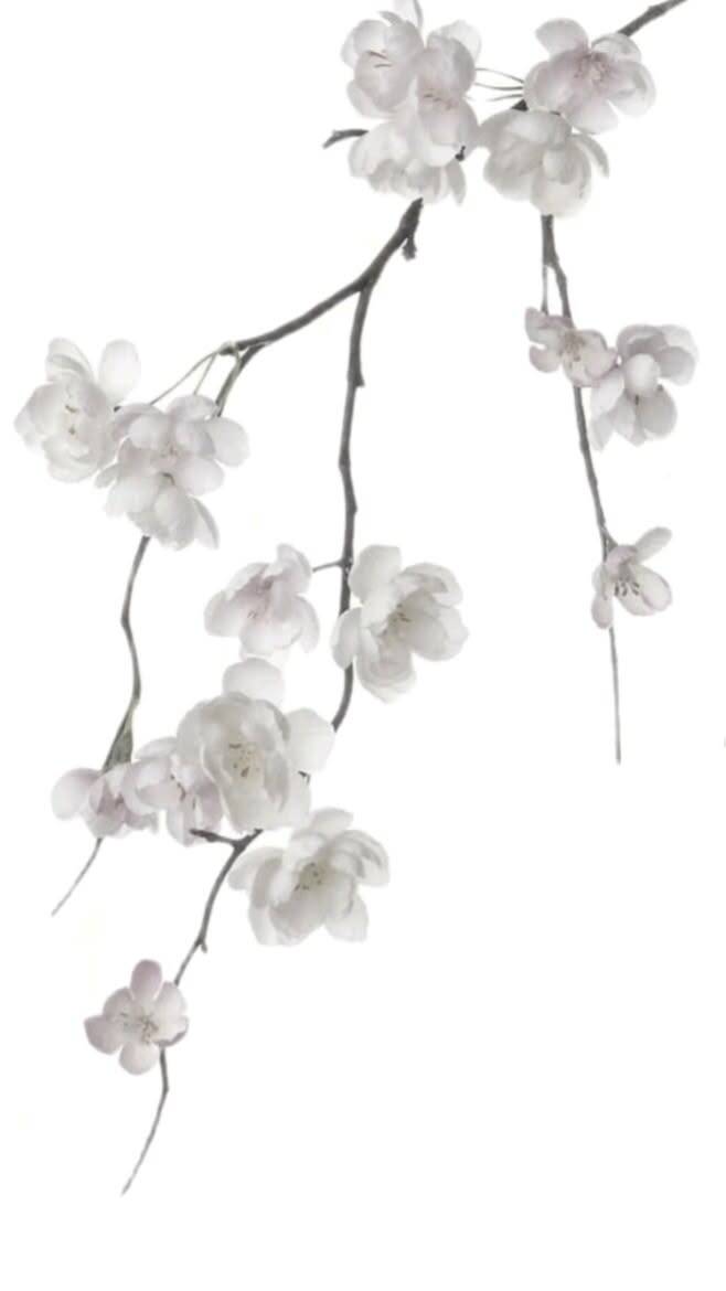 Papel de Parede Branco com Flores Brancas para Celular/iPhone 4K
