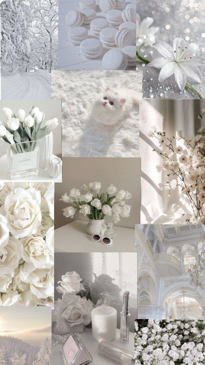 Papel de Parede Branco Aesthetic com Flores e Texturas para Celular/iPhone 4K