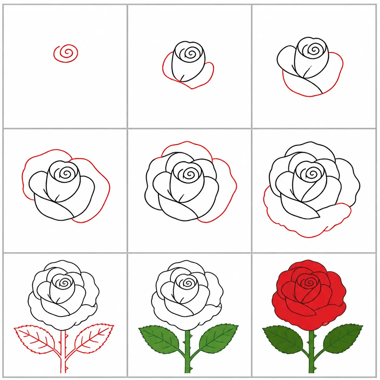 Como Desenhar uma Rosa Passo a Passo