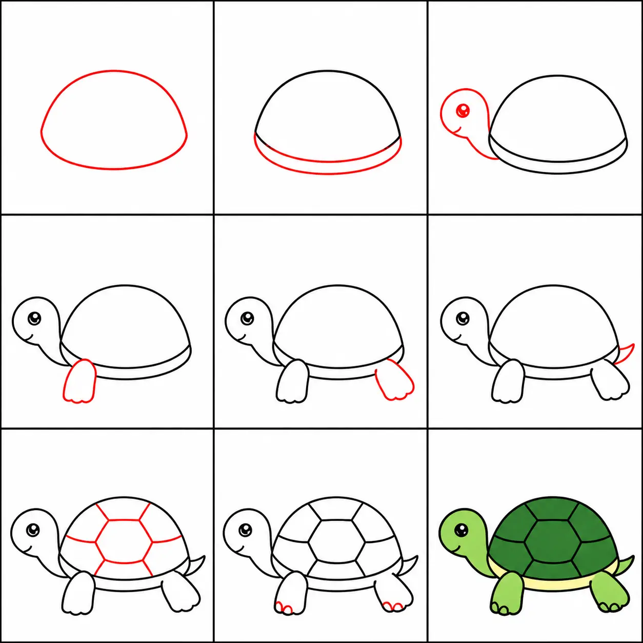 Como Desenhar uma Tartaruga Passo a Passo