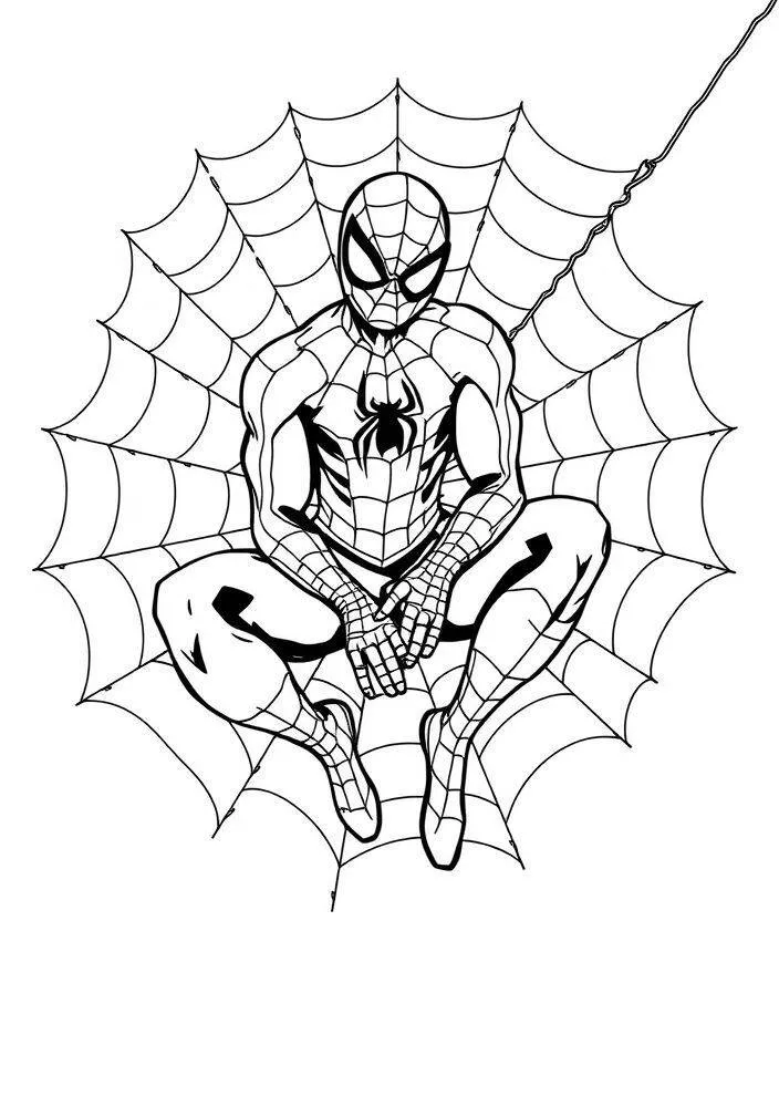 Desenho do Homem Aranha Sentado na Teia para Colorir