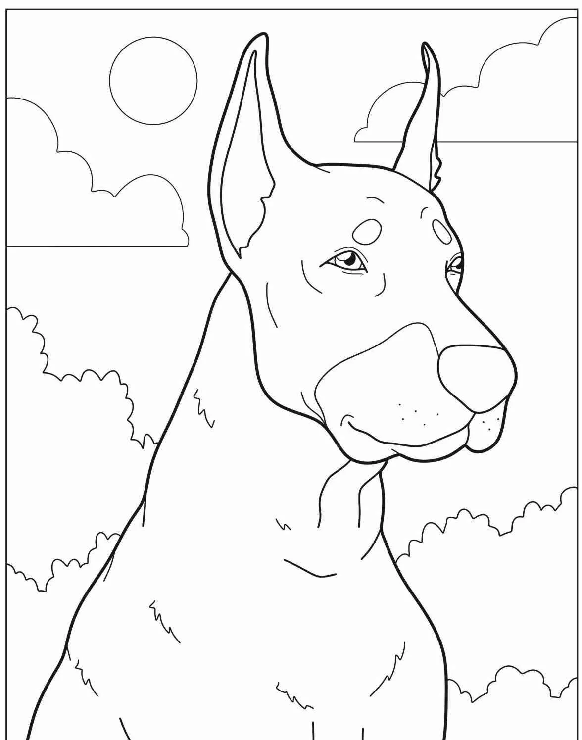 Desenho de Cachorro Doberman para Colorir
