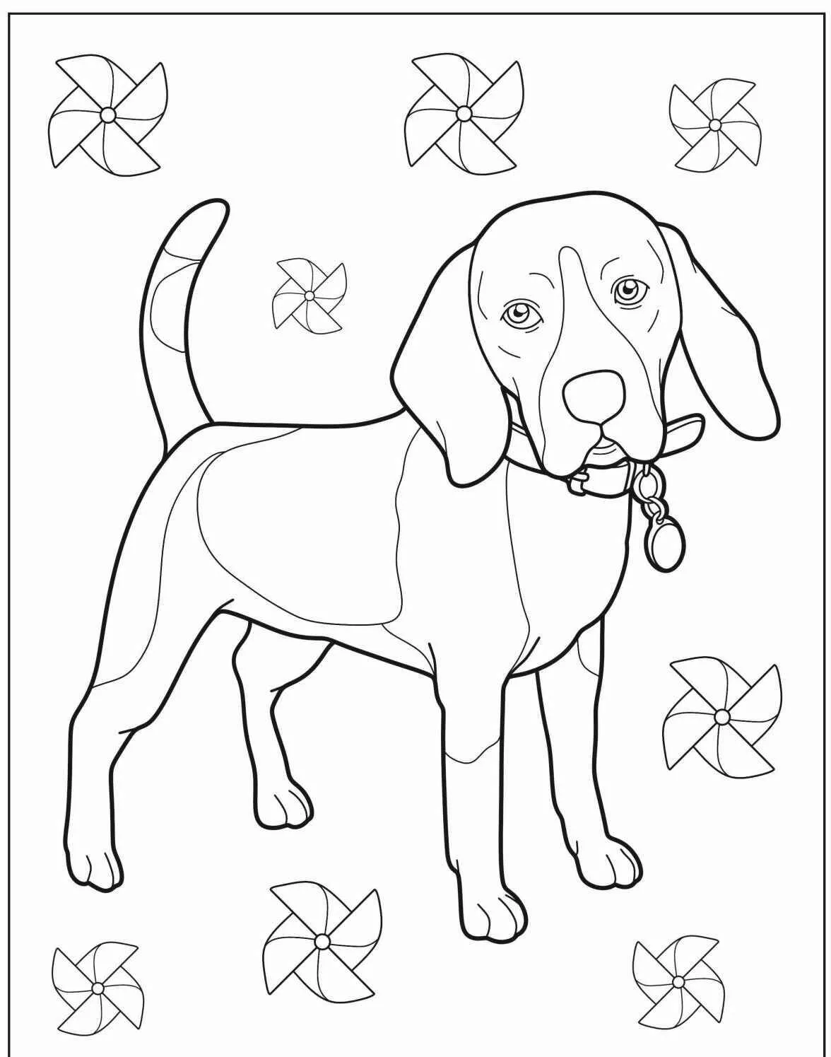 Desenho de Cachorro Beagle para Colorir