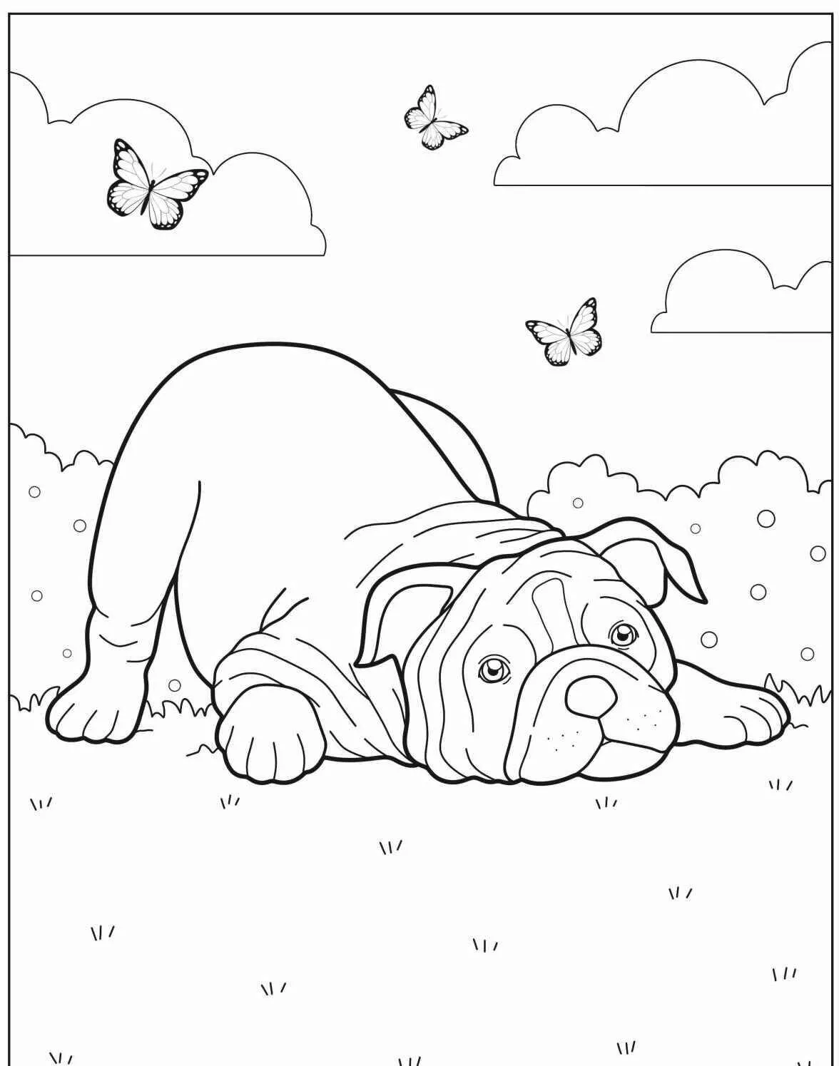 Desenho de Cachorro Bulldog para Colorir