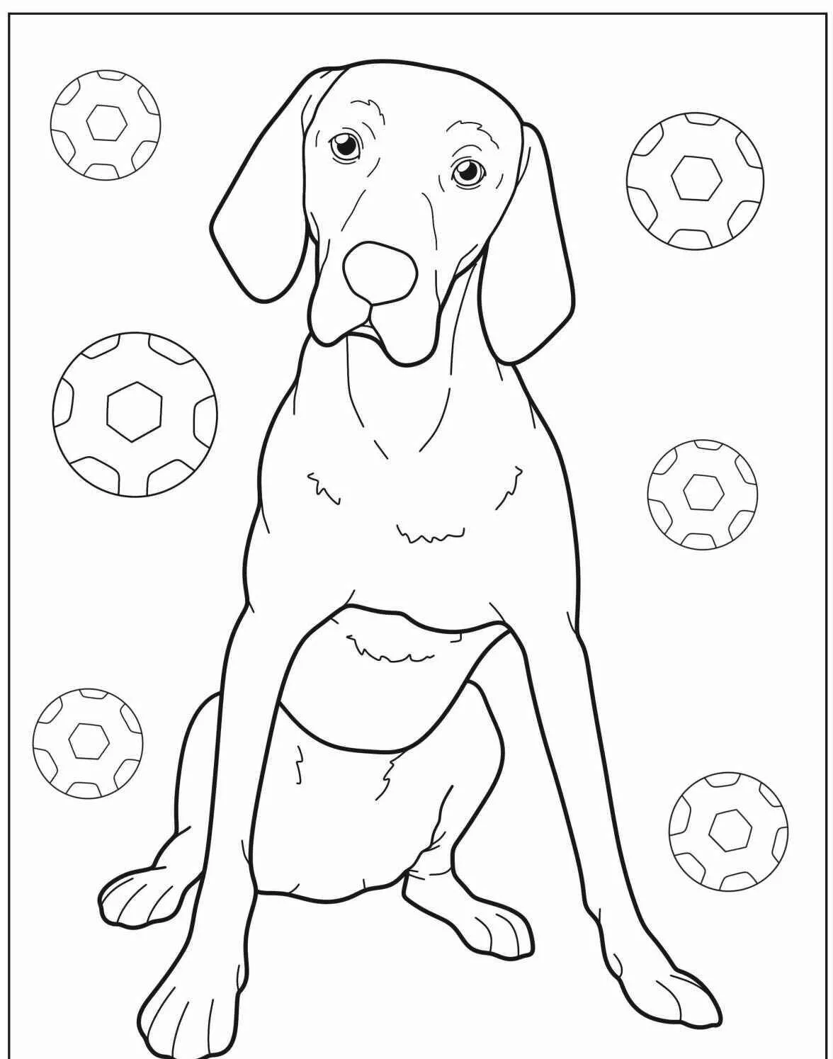 Desenho de Cachorro para Colorir com Bolas de Futebol