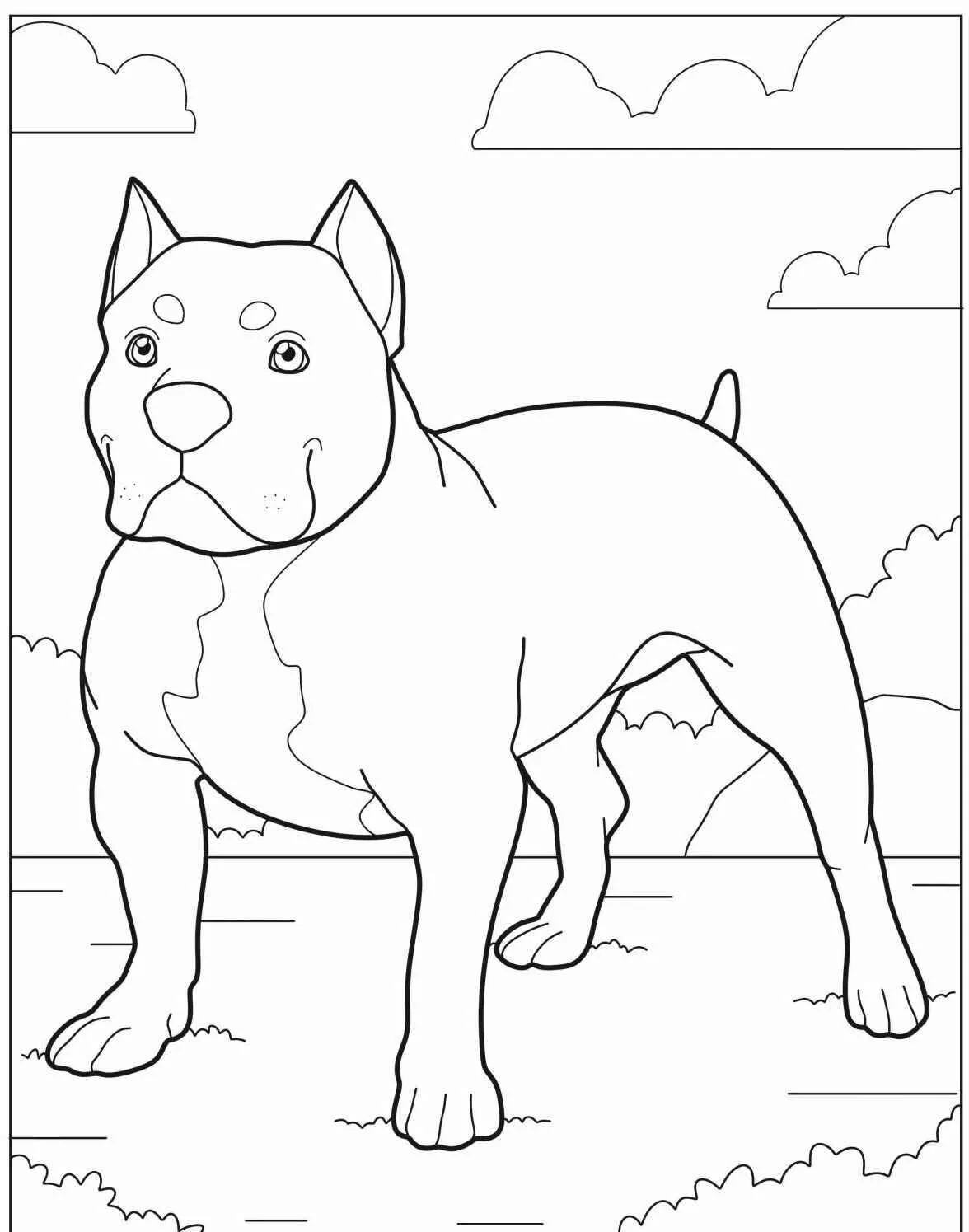 Desenho de Cachorro Pitbull para Colorir
