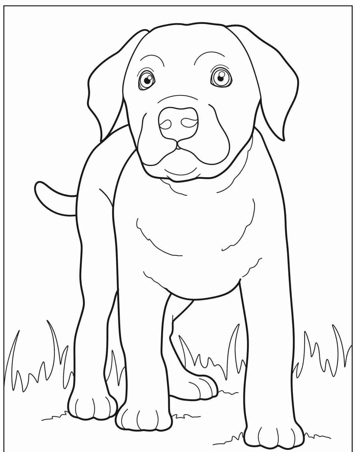 Desenho de Cachorro Fofo para Colorir