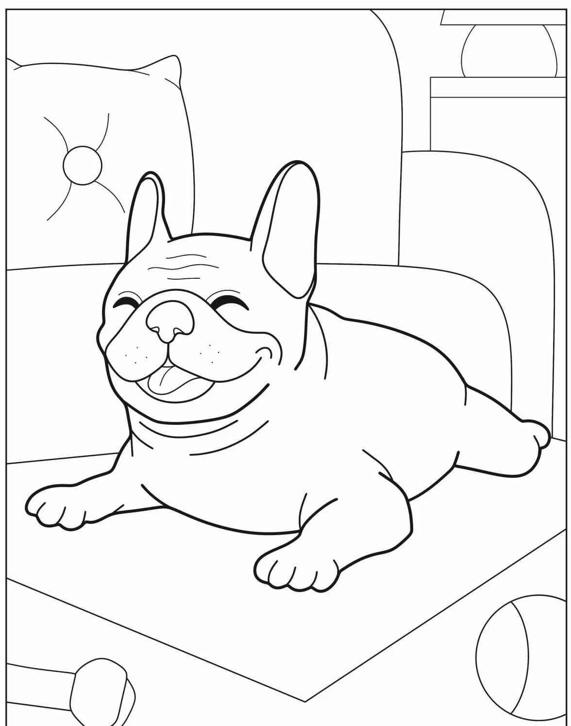 Desenho de Cachorro Francês para Colorir