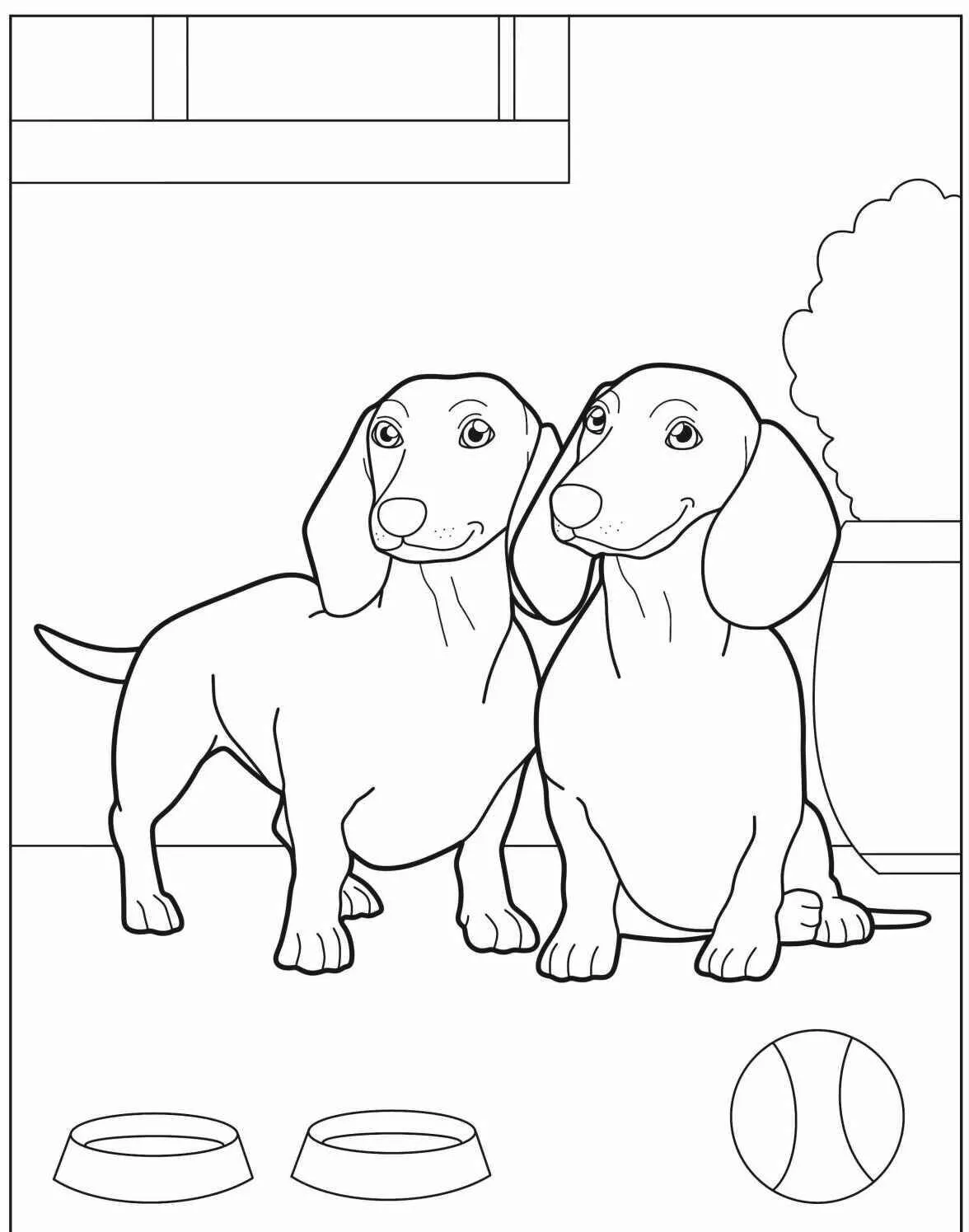 Desenho de Cachorro Dachshund para Colorir