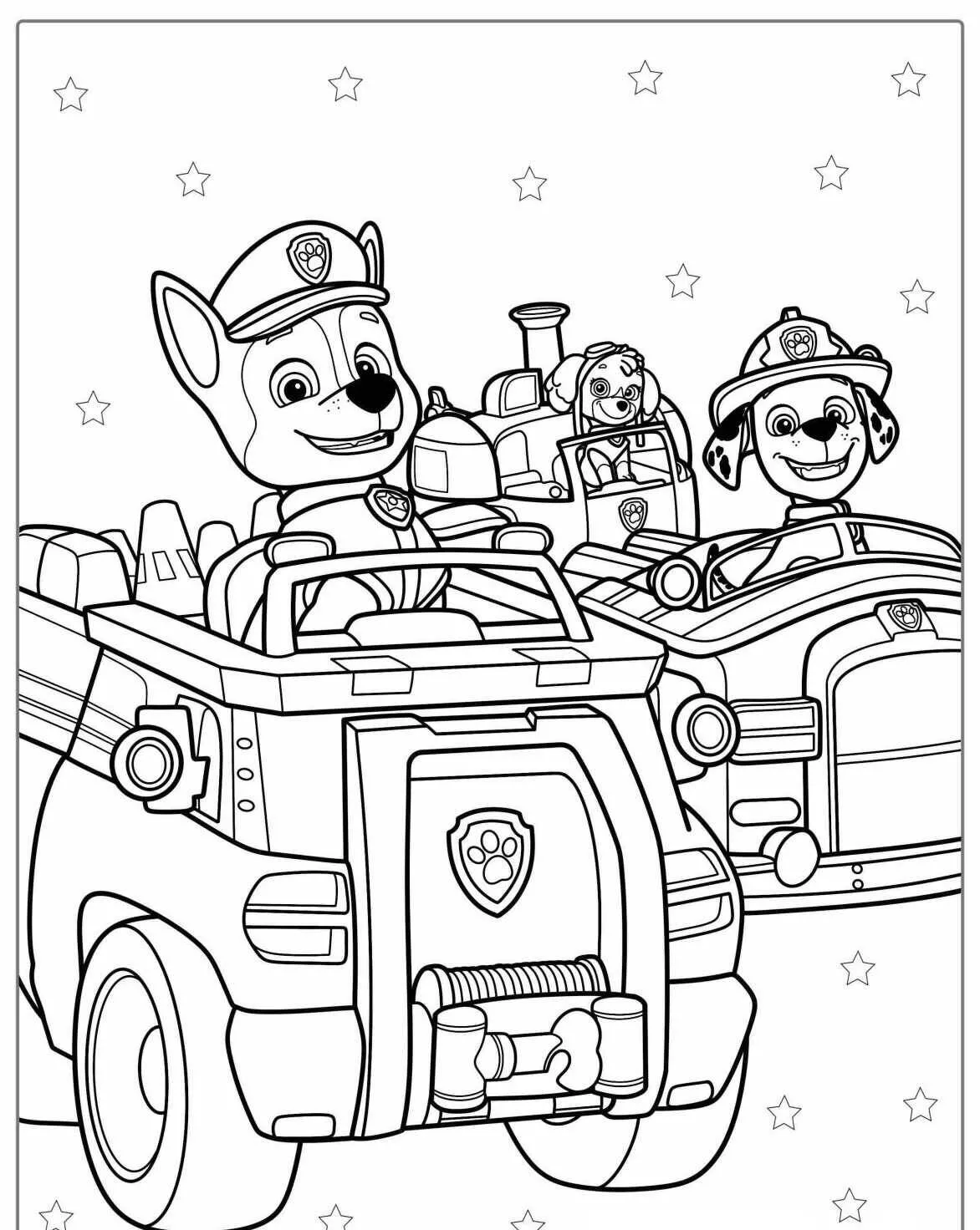 Desenho de Patrulha Canina em Ação para Colorir