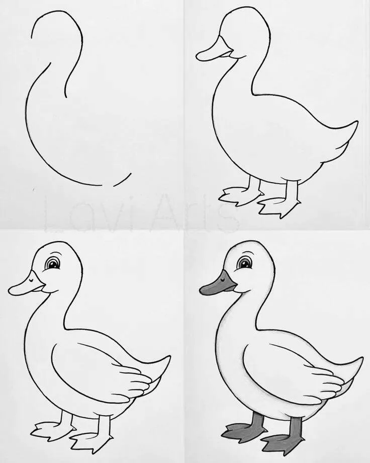 Ideia de Desenho para Desenhar: Como Desenhar um Pato Fácil
