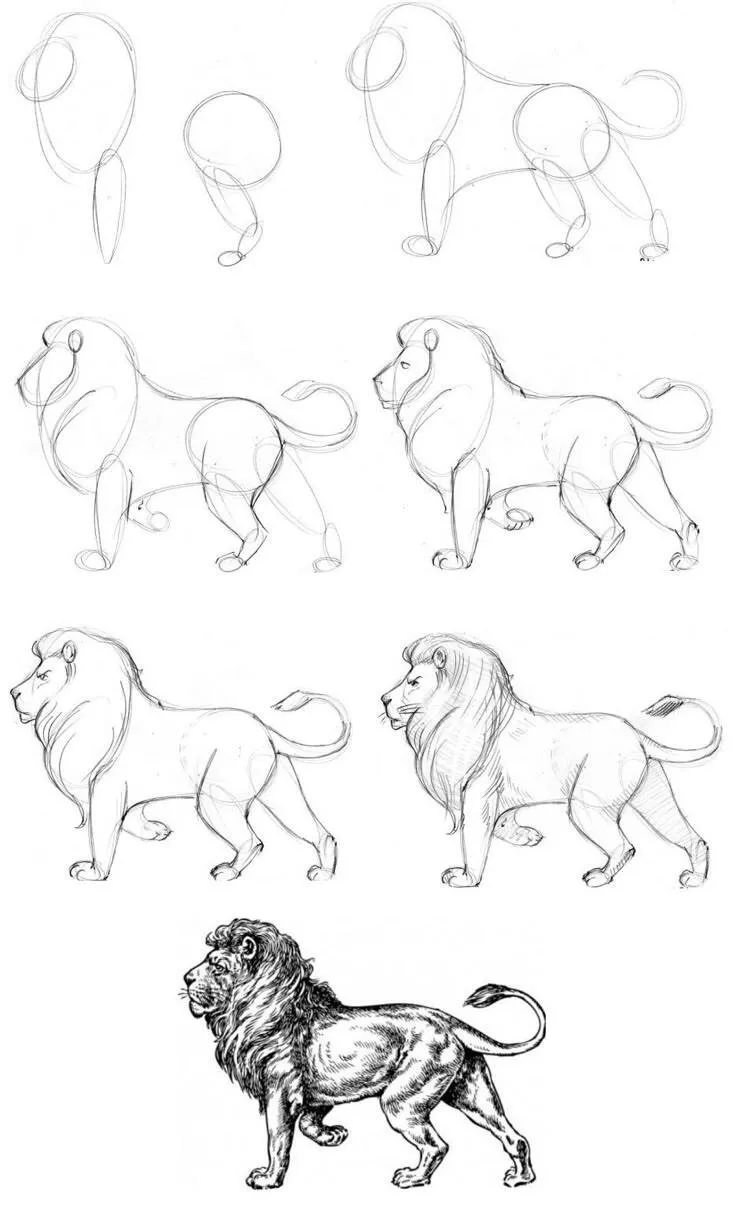 Ideia de Desenho para Desenhar: Como Desenhar um Leão Fácil