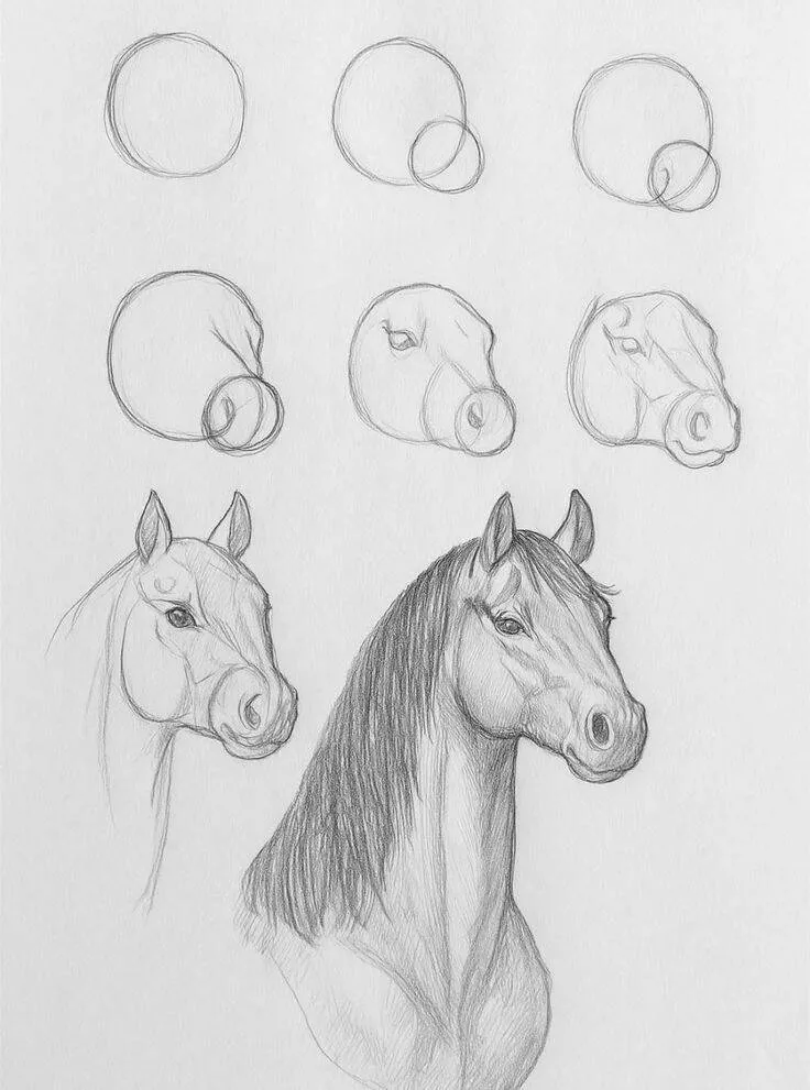 Ideia de Desenho para Desenhar: Como Desenhar um Cavalo Fácil
