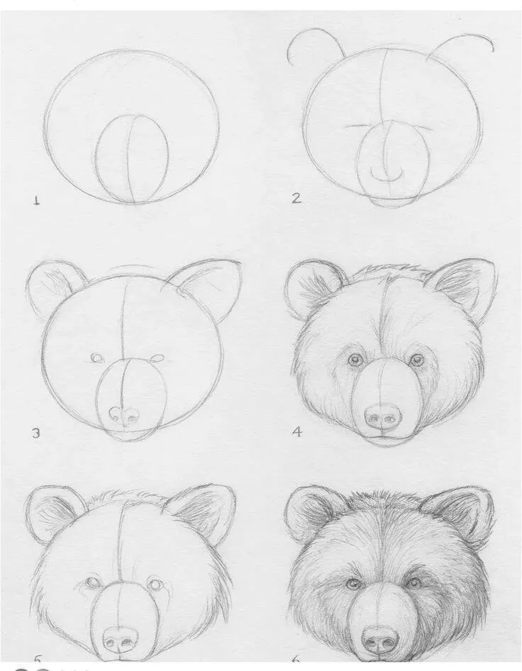 Ideia de Desenho para Desenhar: Como Desenhar um Urso Fácil