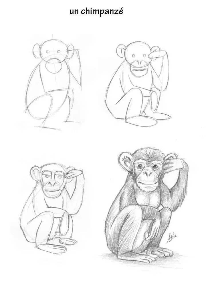 Ideia de Desenho para Desenhar: Como Desenhar um Chimpanzé Fácil