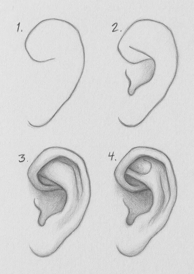 Ideia de Desenho para Desenhar: Como Desenhar uma Orelha Fácil