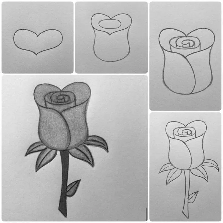 Ideia de Desenho para Desenhar: Como Desenhar uma Rosa Fácil