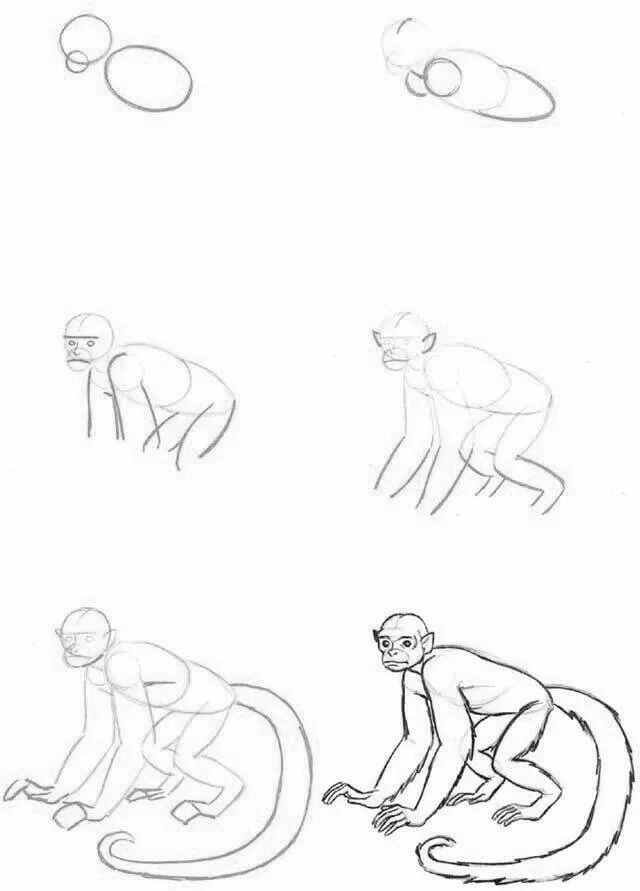 Ideia de Desenho para Desenhar: Como Desenhar um Macaco Fácil