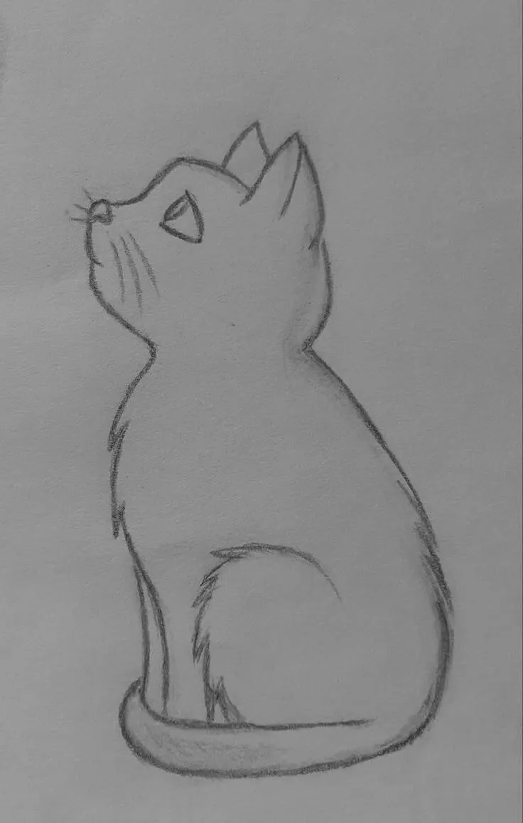 Coisas para Desenhar: Desenho de um Gato Fofo