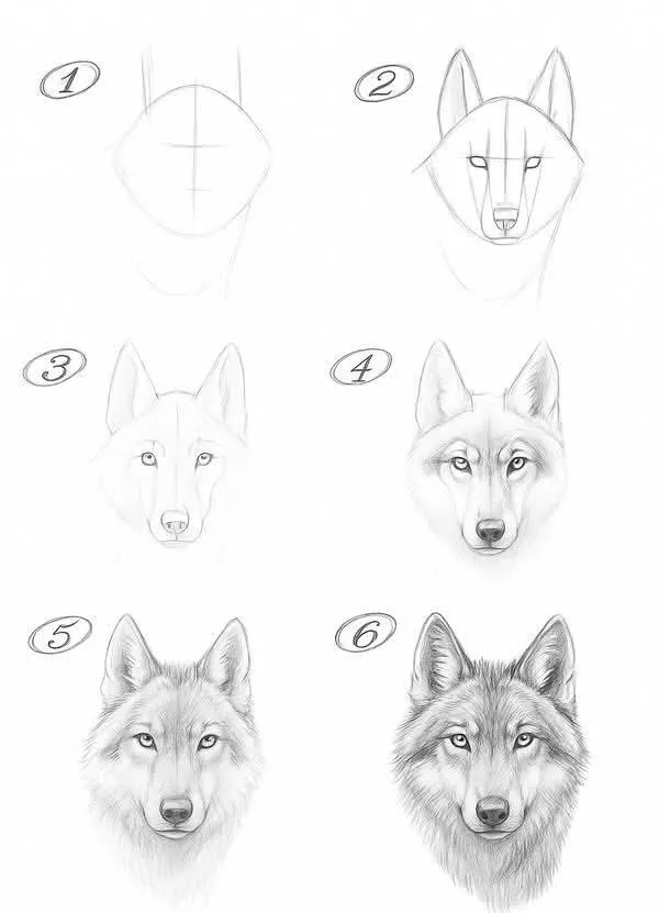 Ideia de Desenho para Desenhar: Como Desenhar um Lobo Fácil