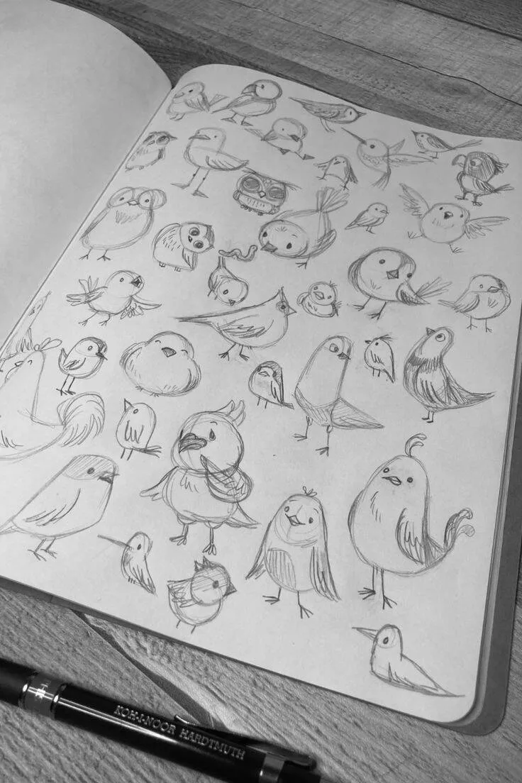Coisas para Desenhar: Desenho de Pássaros Fofos