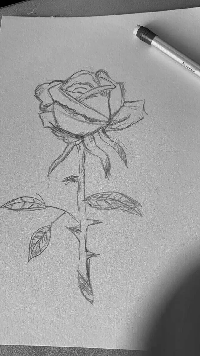 Dinge zum Zeichnen: Eine elegante Rose zeichnen
