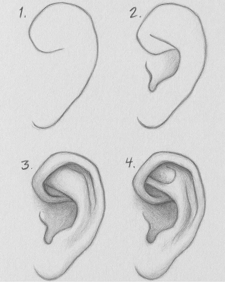 Drawing Idea for Drawing: How to Draw an Ear Easy