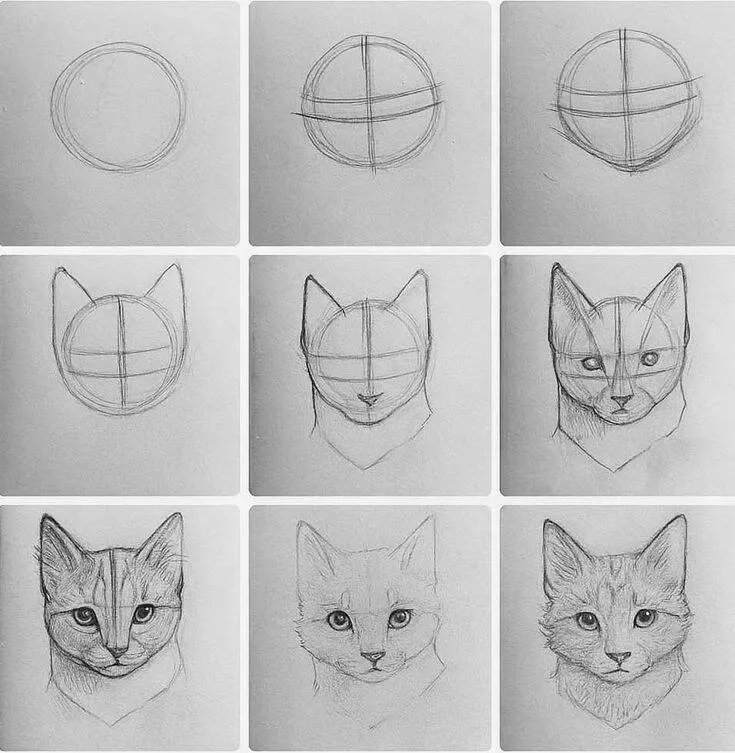 Drawing Idea for Drawing: How to Draw a Cat Easy