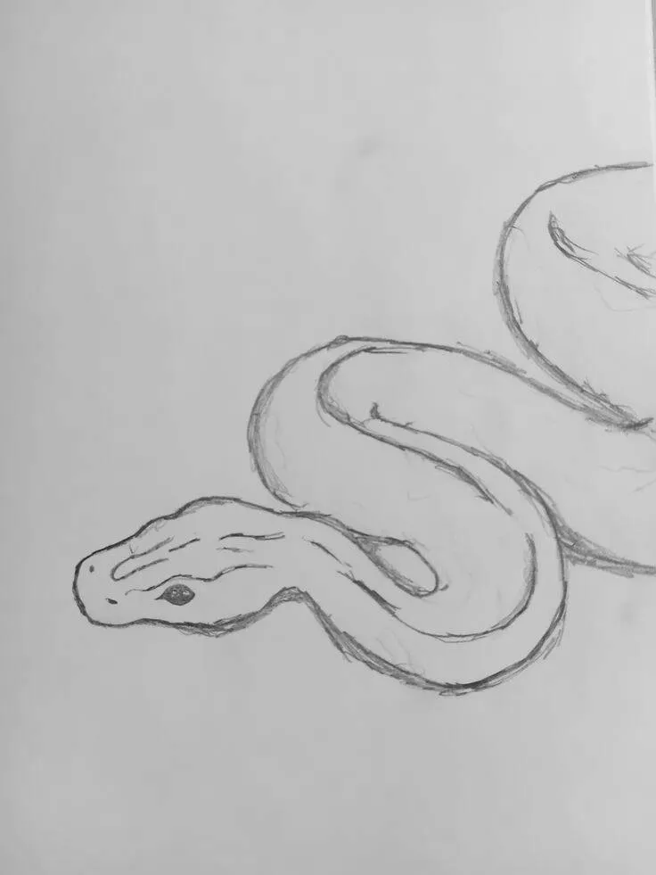 Coisas para Desenhar: Desenho de uma Cobra Elegante