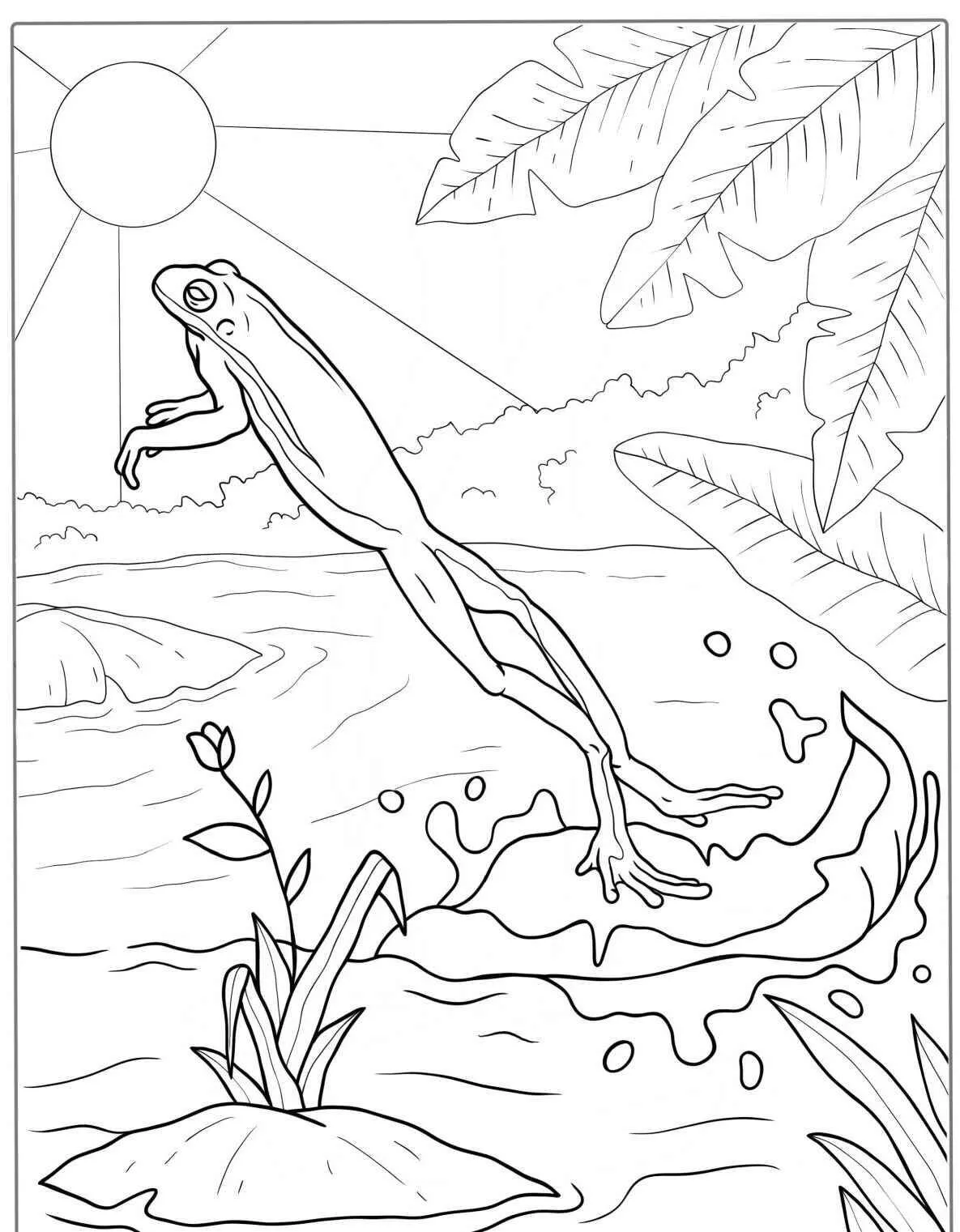 Desenho de Sapo a Saltar na Água para Colorir