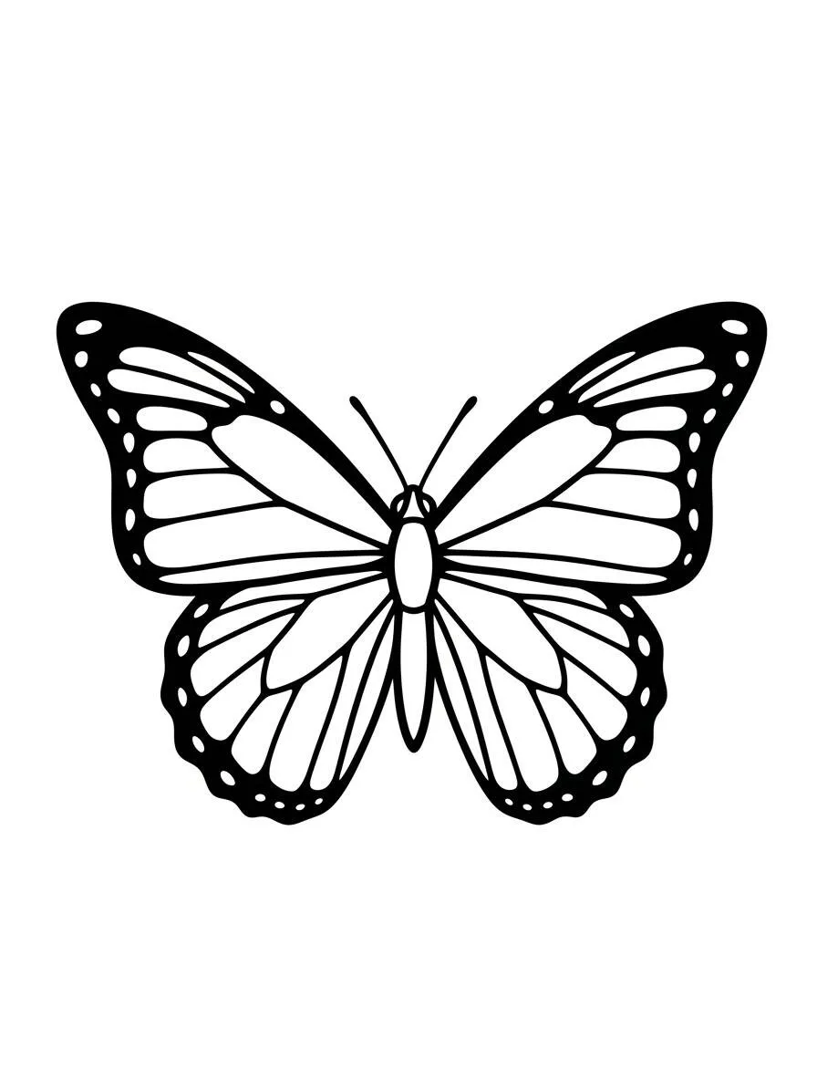 Desenho de Borboleta Elegante para Colorir