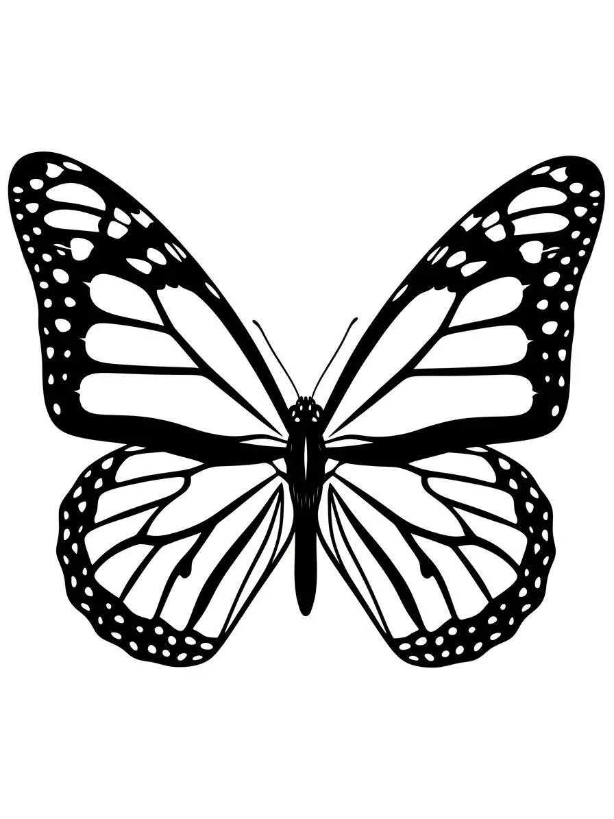 Desenho de Borboleta Elegante para Colorir