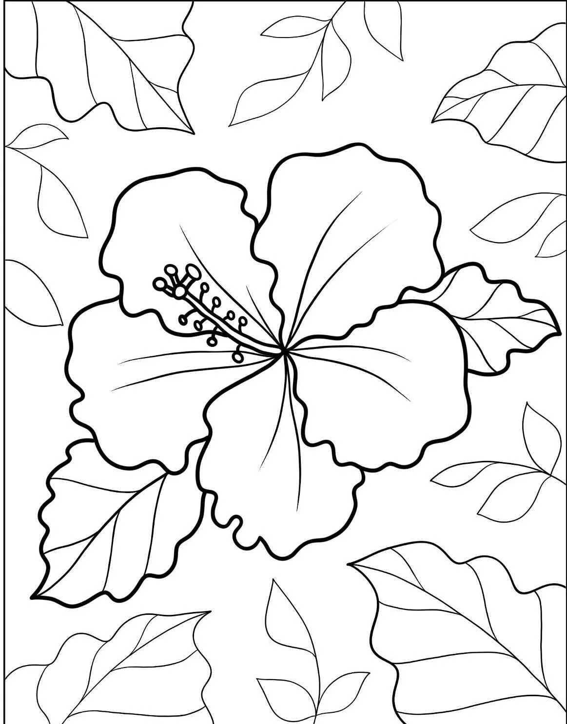 Hibiscus Flower Coloring Page