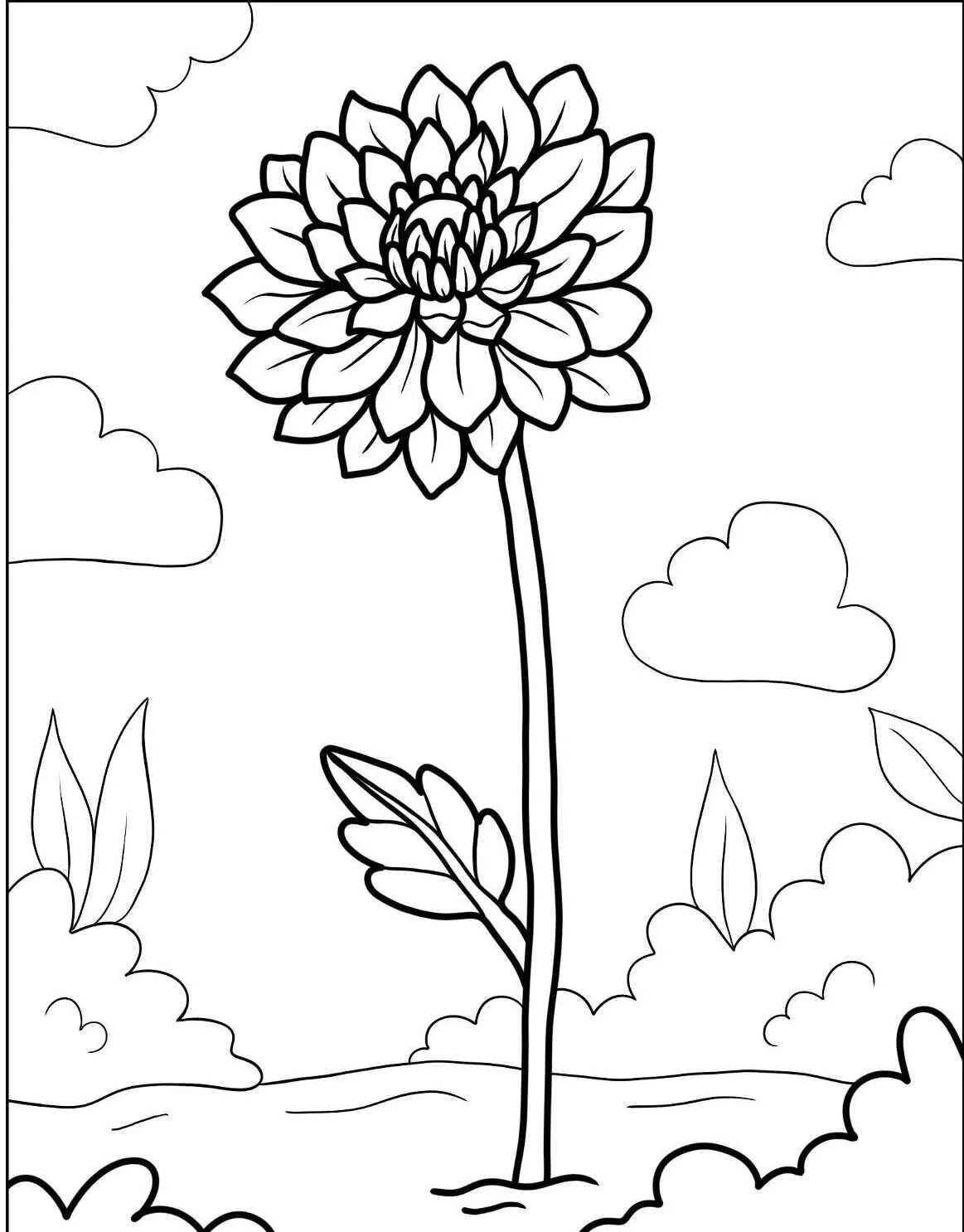 Dahlia Flower Coloring Page