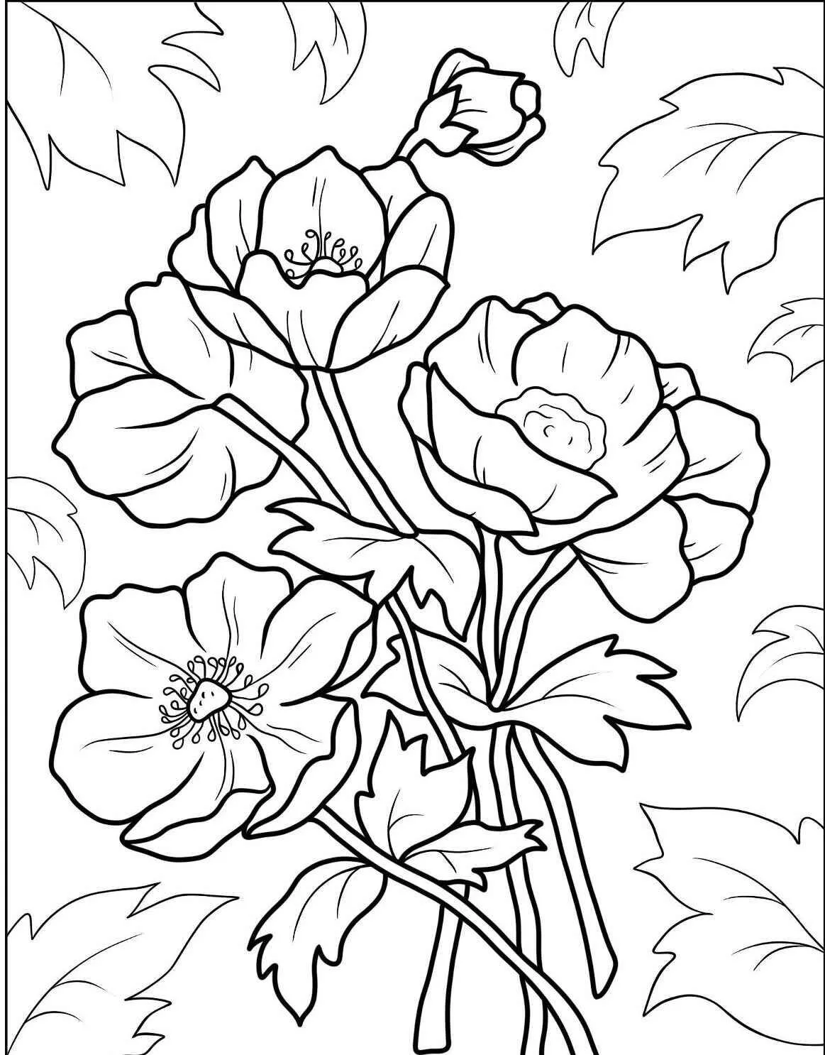 Anemone Flowers Coloring Page