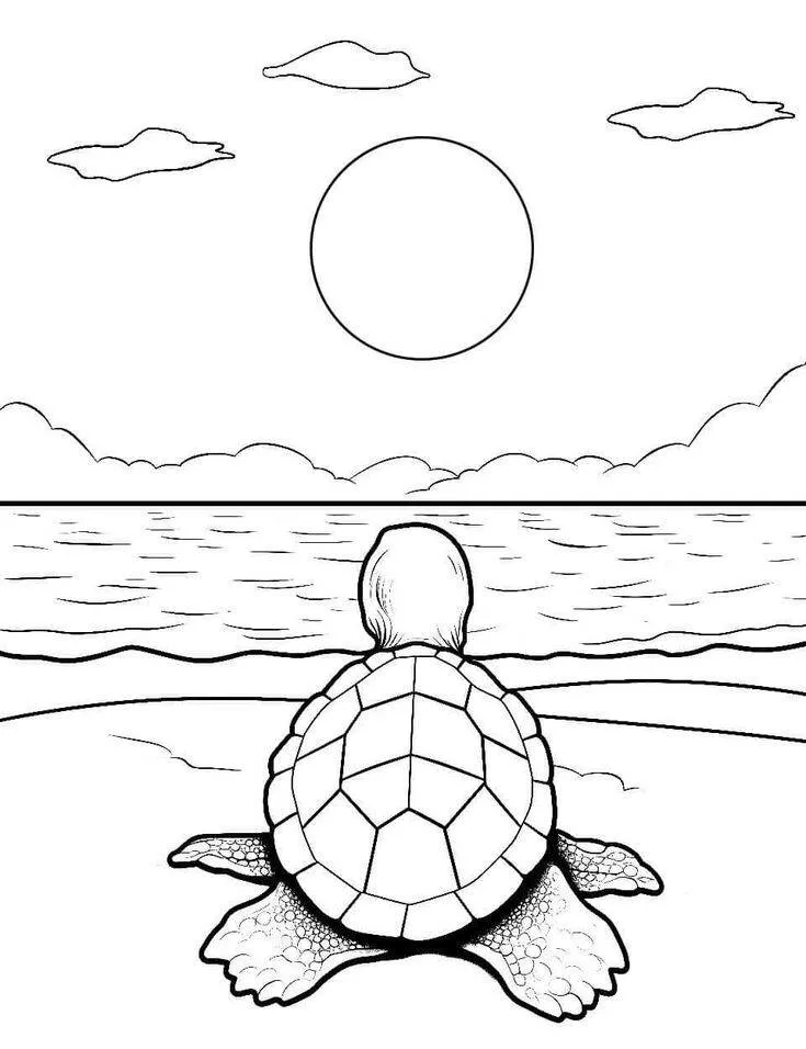 Desenho de Paisagem de Praia com Tartaruga e Sol para Colorir